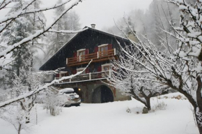Chalet de luxe - Alpes française